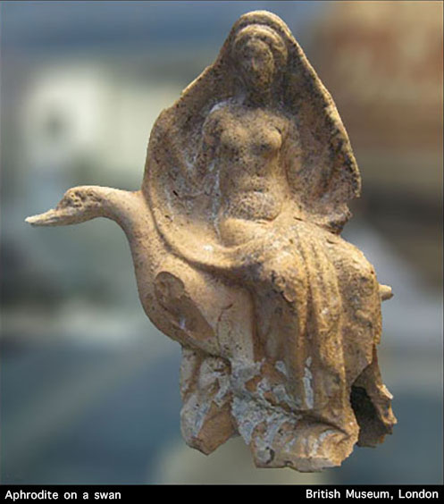 Aphrodite on a swan