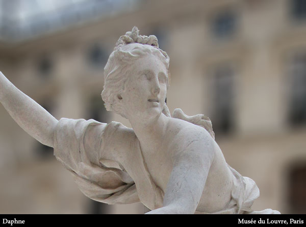 Daphne