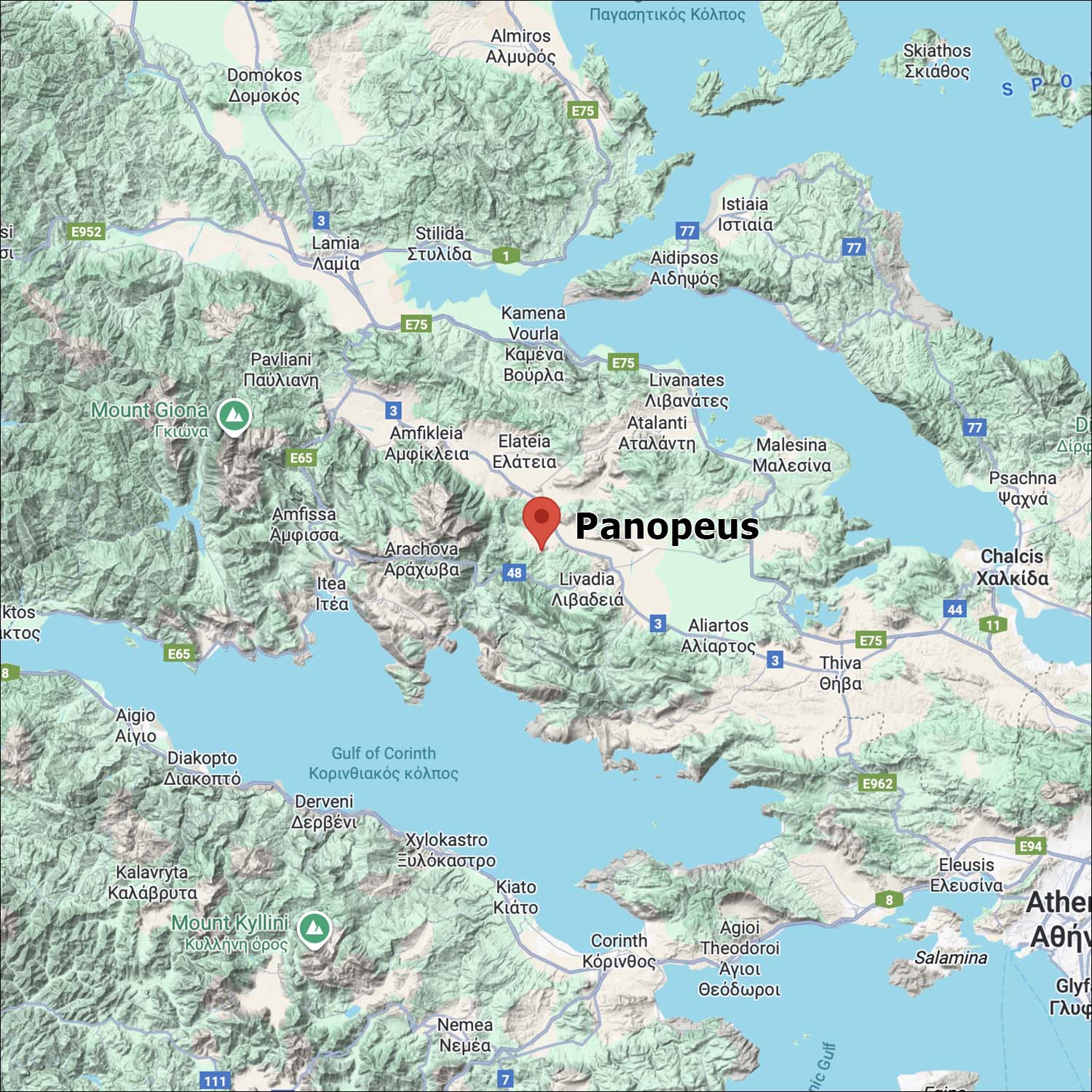Panopeus