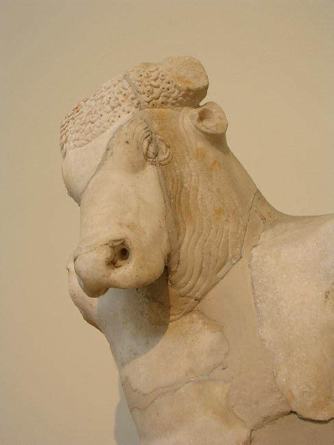 The Minotaur